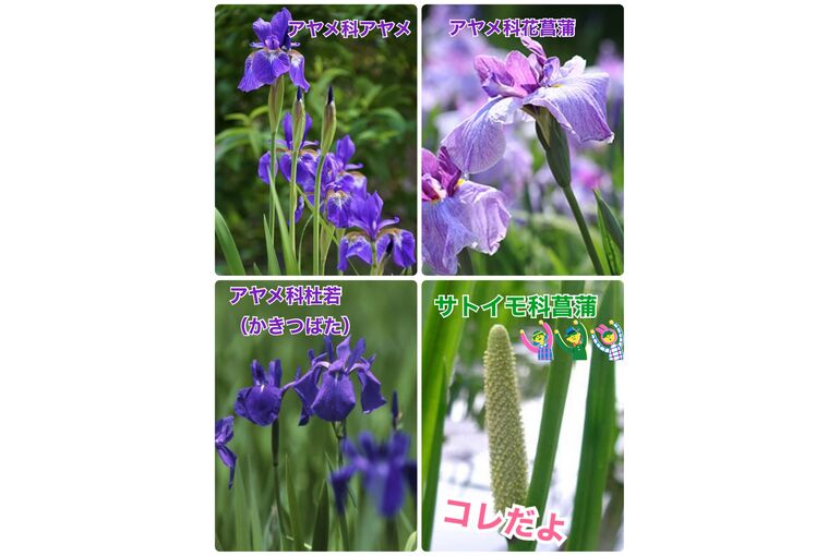 CA71D3F7-713E-42C8-9AE6-987B6181960E
