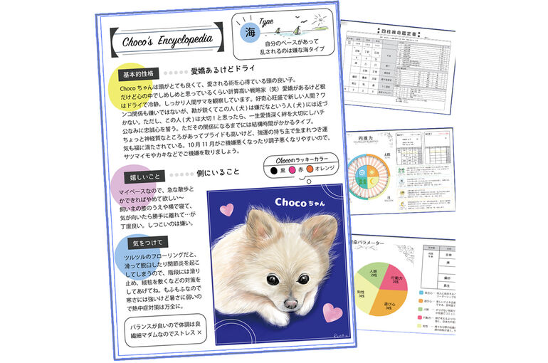 ペット鑑定