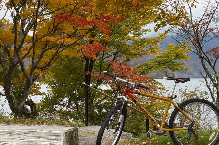 日光１