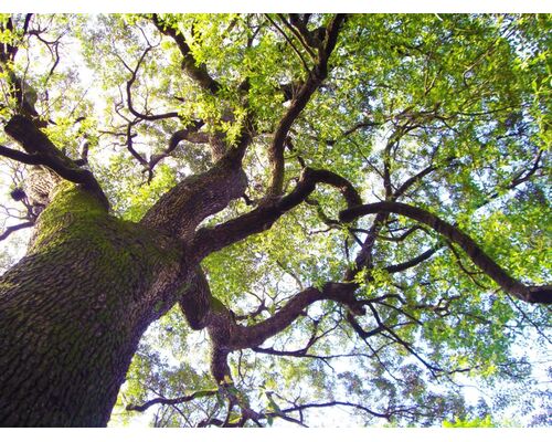 20110912_0947_26_0690w882_h662